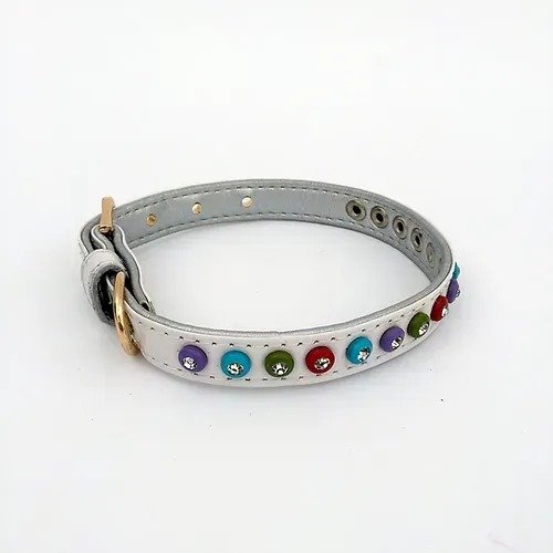 Collar mascota