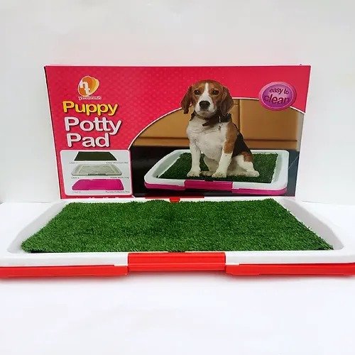 Baño mascota