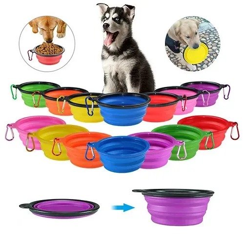 Plato mascota