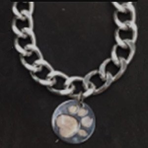 collar con placa de identificacion 
