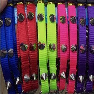Collar con puas 