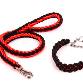 CONJUNTO DE CUERDA.