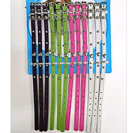 Collar mascota