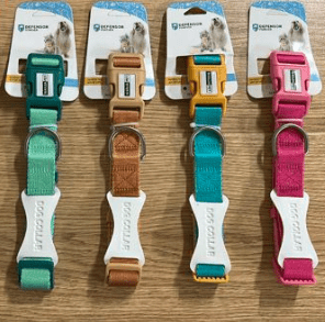 collar para perro
