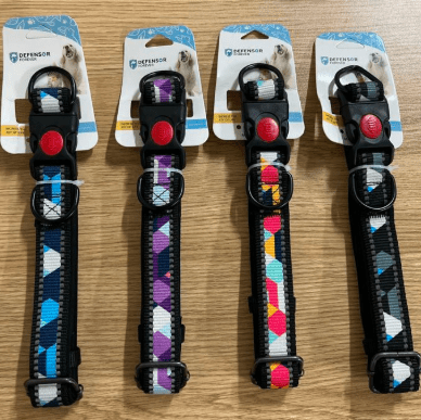 collar para perro