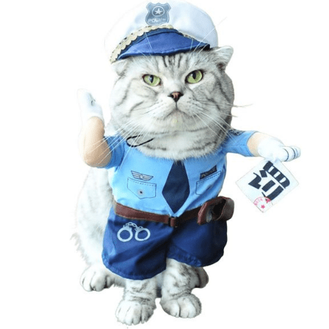 ROPA DE MASCOTAS