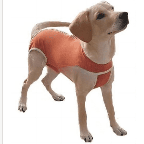 ROPA DE MASCOTAS