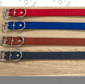 collar para perro