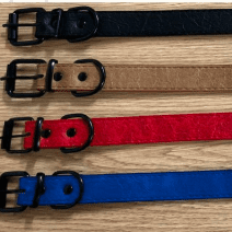 collar para perro
