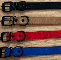collar para perro