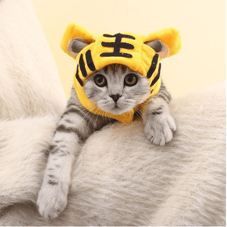 SOMBRERO PARA MASCOTA