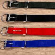 collar para perro