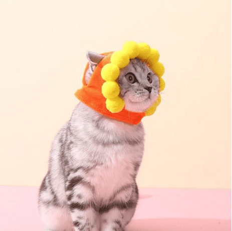 SOMBRERO PARA MASCOTA