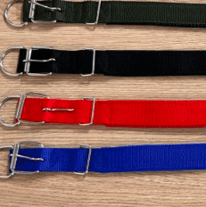 collar para perro
