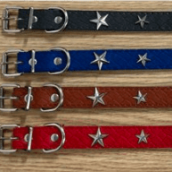 collar para perro