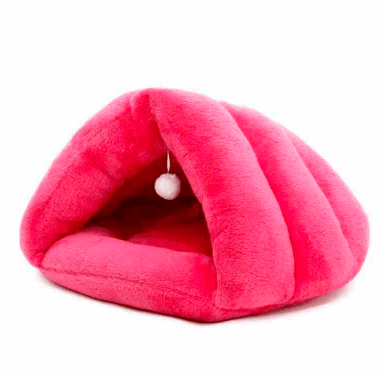CAMA