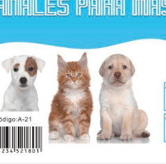 pañales para perros