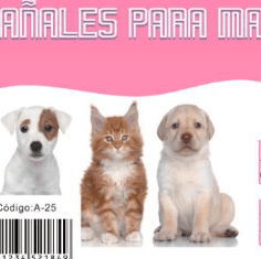 pañales para perros