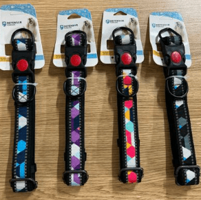 collar para perro