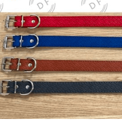 collar para perro
