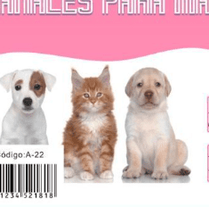 pañales para perros