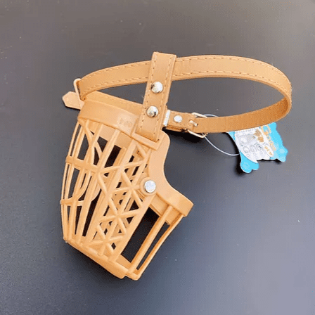 Bosal para mascota